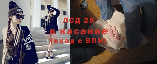 прущие грибы Горно-Алтайск