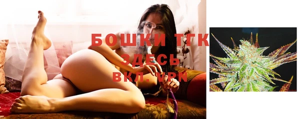ПСИЛОЦИБИНОВЫЕ ГРИБЫ Горнозаводск