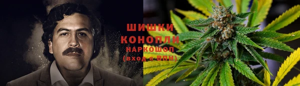твердый Горняк