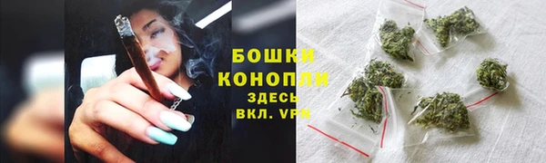 твердый Горняк