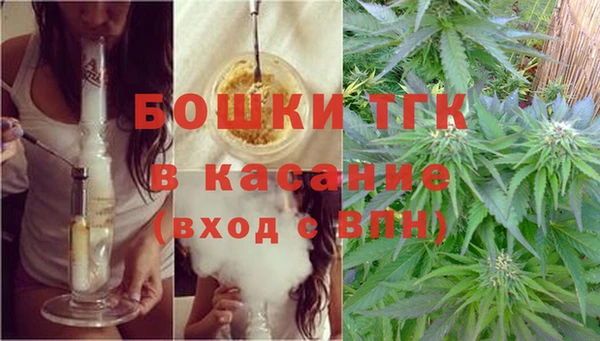 твердый Горняк