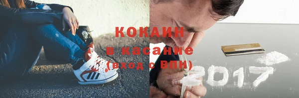 прущие грибы Горно-Алтайск
