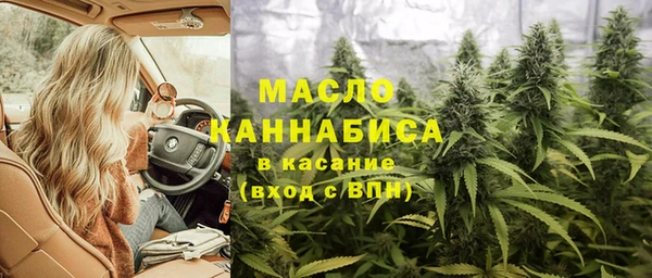 прущие грибы Горно-Алтайск