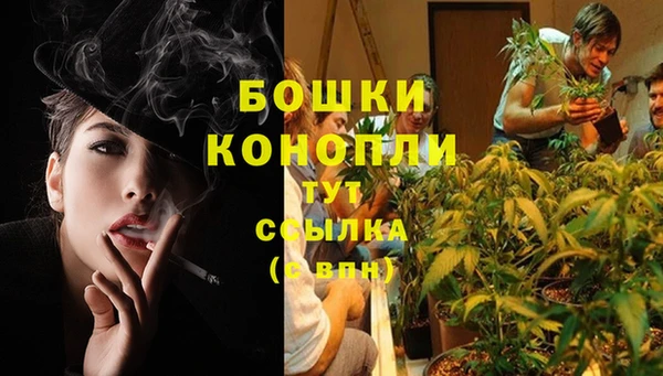 твердый Горняк