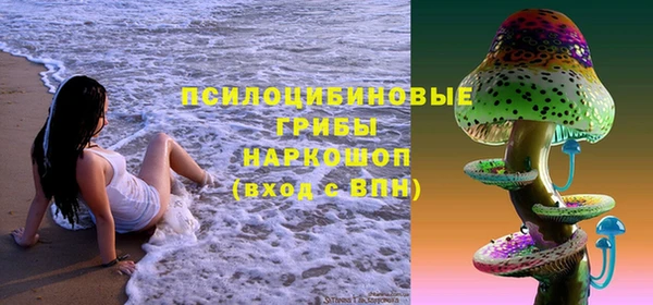 прущие грибы Горно-Алтайск