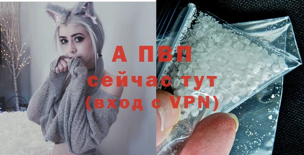 прущие грибы Горно-Алтайск