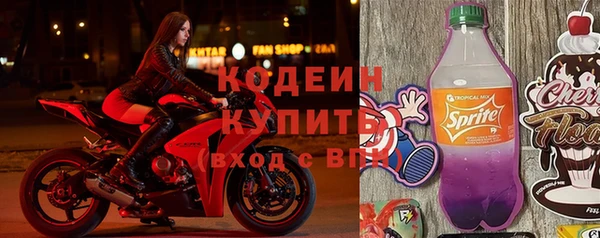 прущие грибы Горно-Алтайск