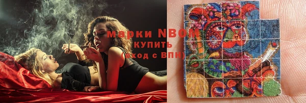 твердый Горняк