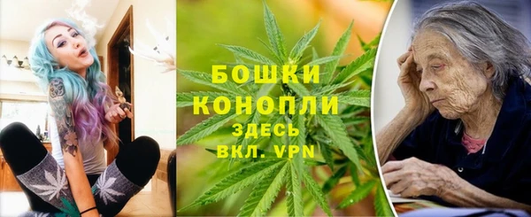 твердый Горняк