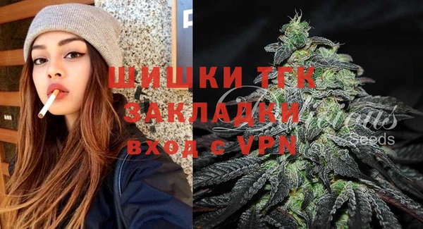 ПСИЛОЦИБИНОВЫЕ ГРИБЫ Горнозаводск
