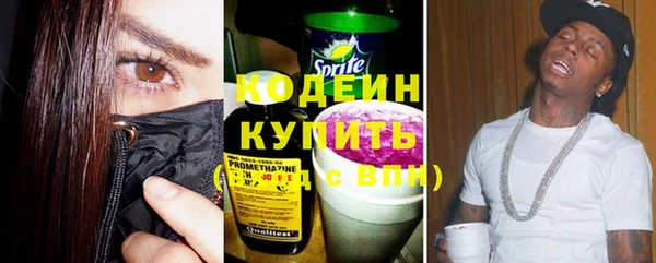 прущие грибы Горно-Алтайск