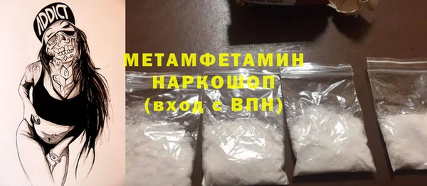 прущие грибы Горно-Алтайск