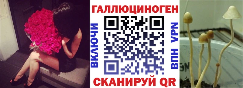 Купить закладки  Клин  Псилоцибиновые грибы мицелий 