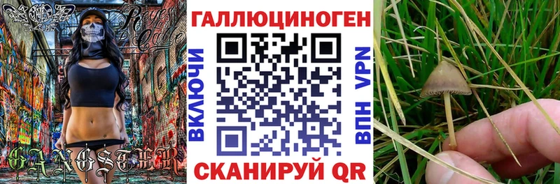 Псилоцибиновые грибы Psilocybine cubensis Клин